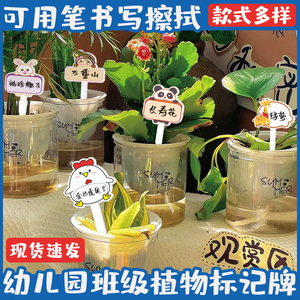 幼儿园花卉盆栽绿植标签标识牌多肉标签T型插牌园艺植物标签户外防水防晒标记标示牌插图牌花盆牌