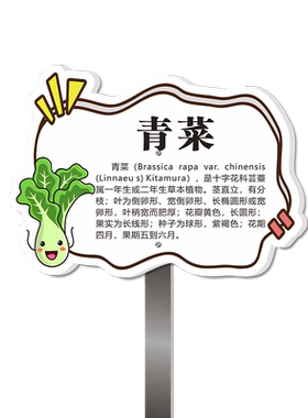 私家菜园菜地菜标识牌蔬菜品种展示牌介绍大全花草植物插地牌学校班级菜园私人花园地牌定制防水防晒送杆子