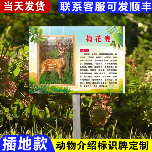 PVC插地式送立杆动植物简介定制