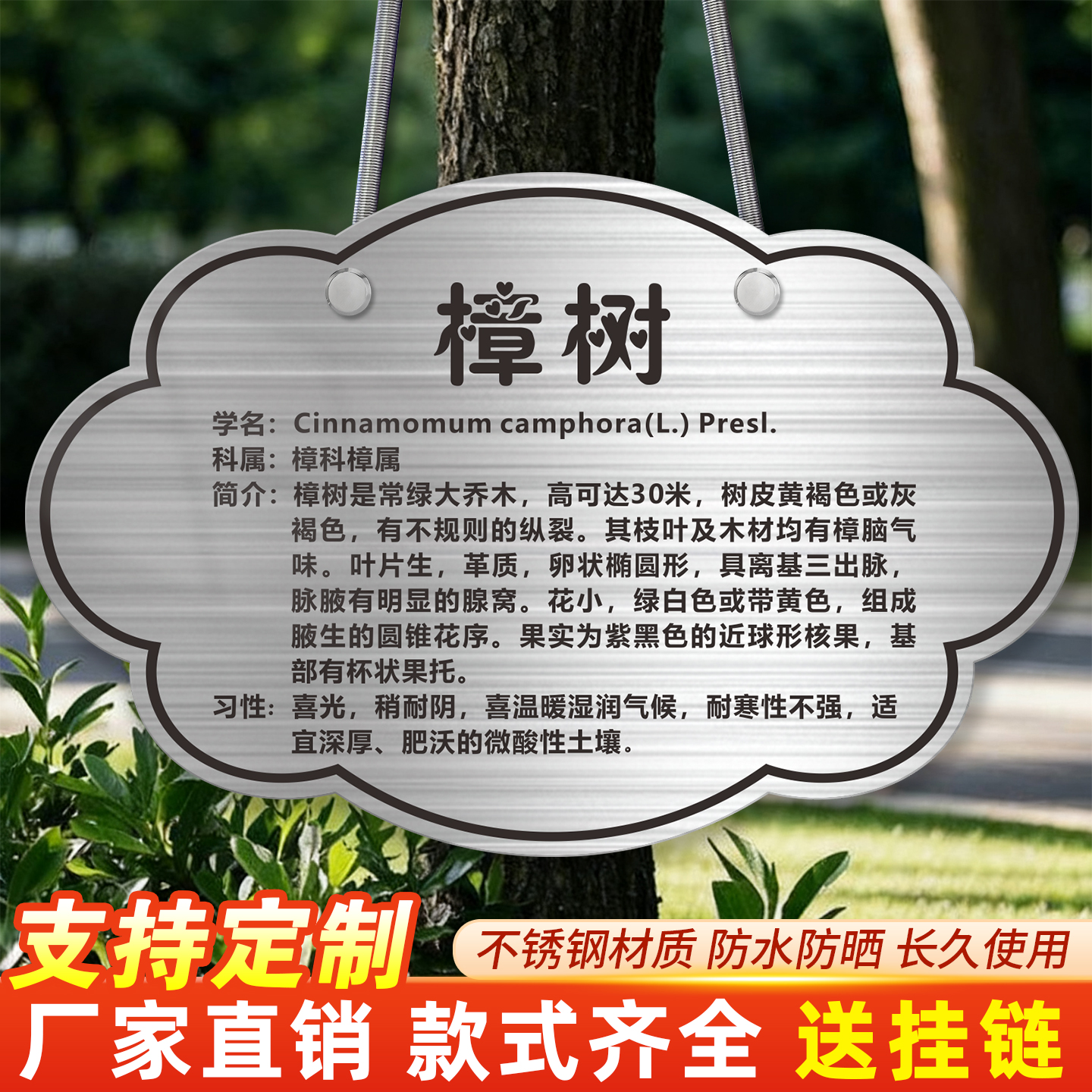 企贝不锈钢金属树牌悬挂牌学校公园花草牌定制植物绿植吊牌树木标识介绍牌子树名牌铭牌花草牌绿植名称挂牌
