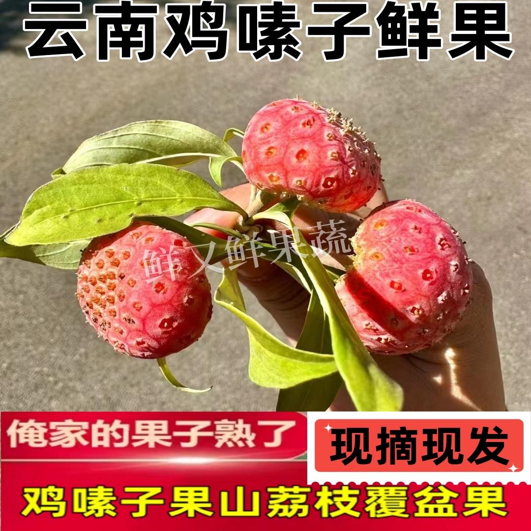 云南新鲜鸡嗉子果山荔枝覆盆子果山枇杷四照花果石枣水杨梅水果