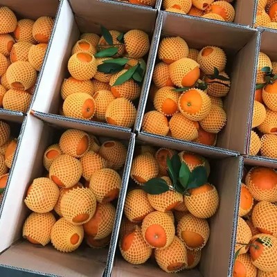 20斤橙子新鲜水果包邮礼盒江西赣州特产地直发手剥甜橙10
