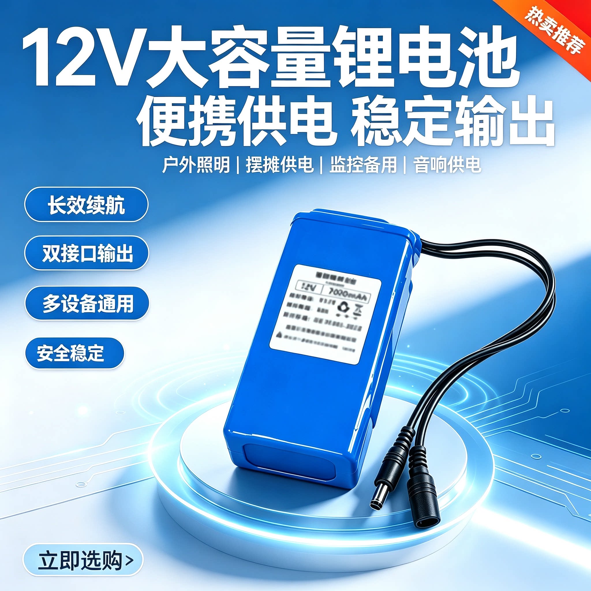 12V聚合物锂电池大容量可充电音响LED灯箱户外头灯监控广告牌图片
