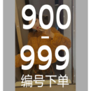 900-999魏婉婉