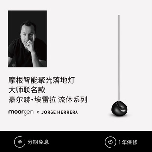 moorgen摩根x豪尔赫埃雷拉联名流体系列智能灯现代简约充电台灯