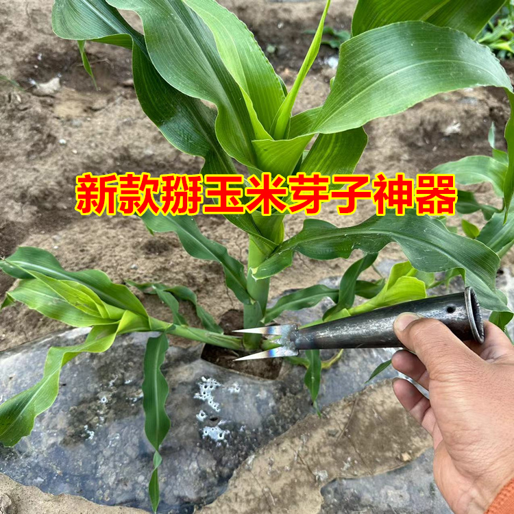 掰玉米叉打岔神器打苞米丫子