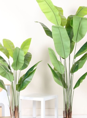 仿真植物旅人蕉假绿植盆栽大型家居室内客厅落地装饰摆件橱窗造景