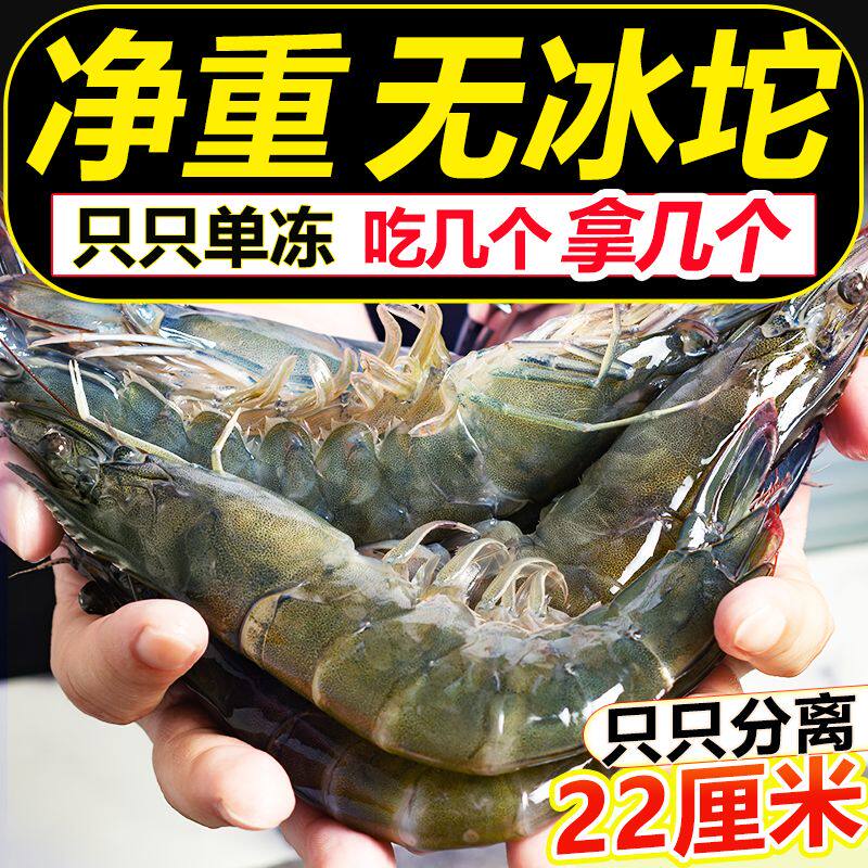 特大青岛大虾鲜活速冻生鲜大海虾海鲜水产冷冻基围虾冻虾超大白虾
