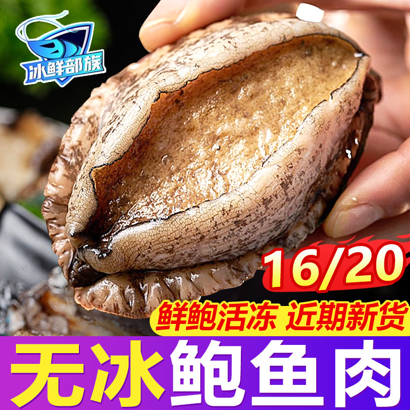 【冰鲜部族】超大个头鲍鱼肉去壳去肚免处理鲜活新鲜特大火锅食材