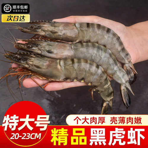 特大冰鲜部族新鲜黑虎虾