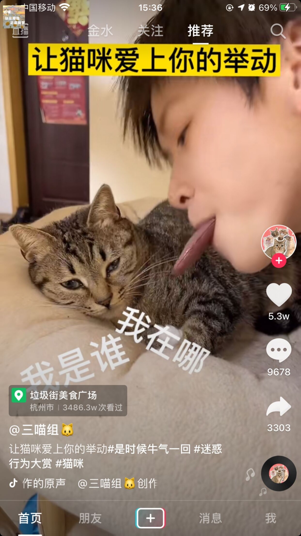 三喵组同款让猫咪爱上