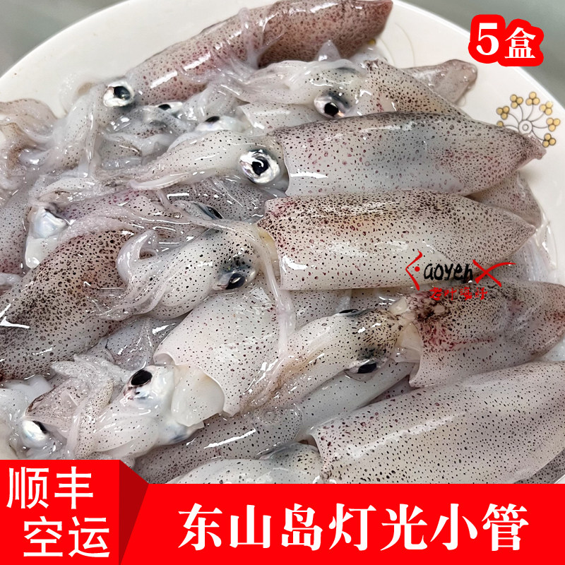 福建东山岛灯光小管鱿鱼海捕海兔灯照笔管鱼活冻新鲜海鲜水产 5盒