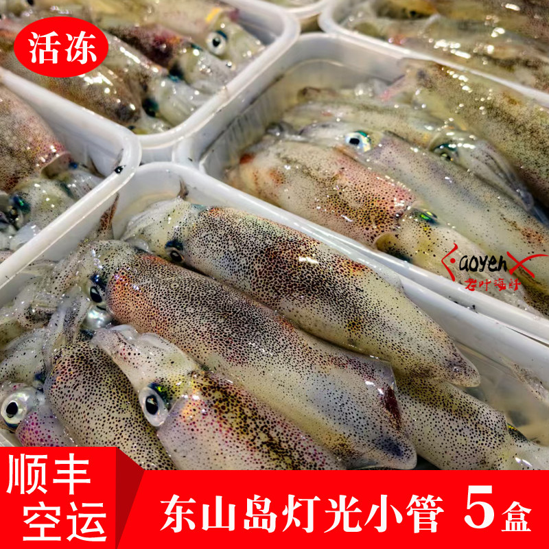 灯光小管鱿鱼福建东山岛海捕笔管鱼灯照海兔新鲜海鲜活冻带籽母管