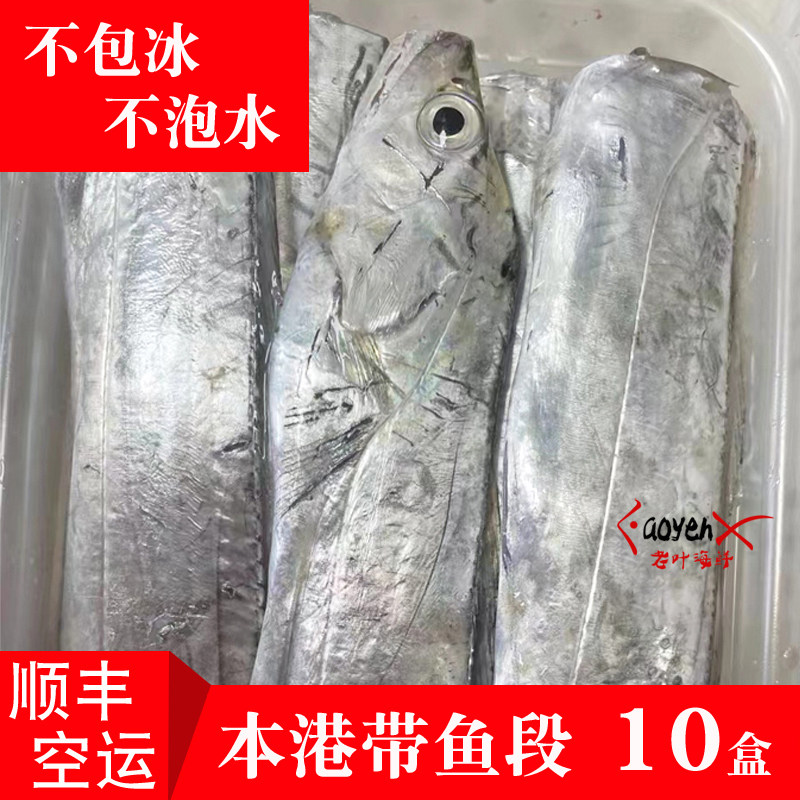 福建本港海捕小带鱼刀鱼段东海带鱼中段新鲜海鲜不泡水无冰衣去头