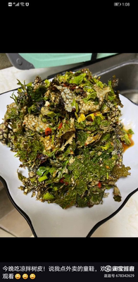 云南楚雄大姚特产野生云南树皮菜野菜500克干货云南树皮