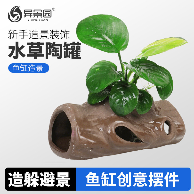 莫斯屋陶罐定植观赏鱼虾躲避屋窝鱼缸造景水草植物水族小鱼孵化