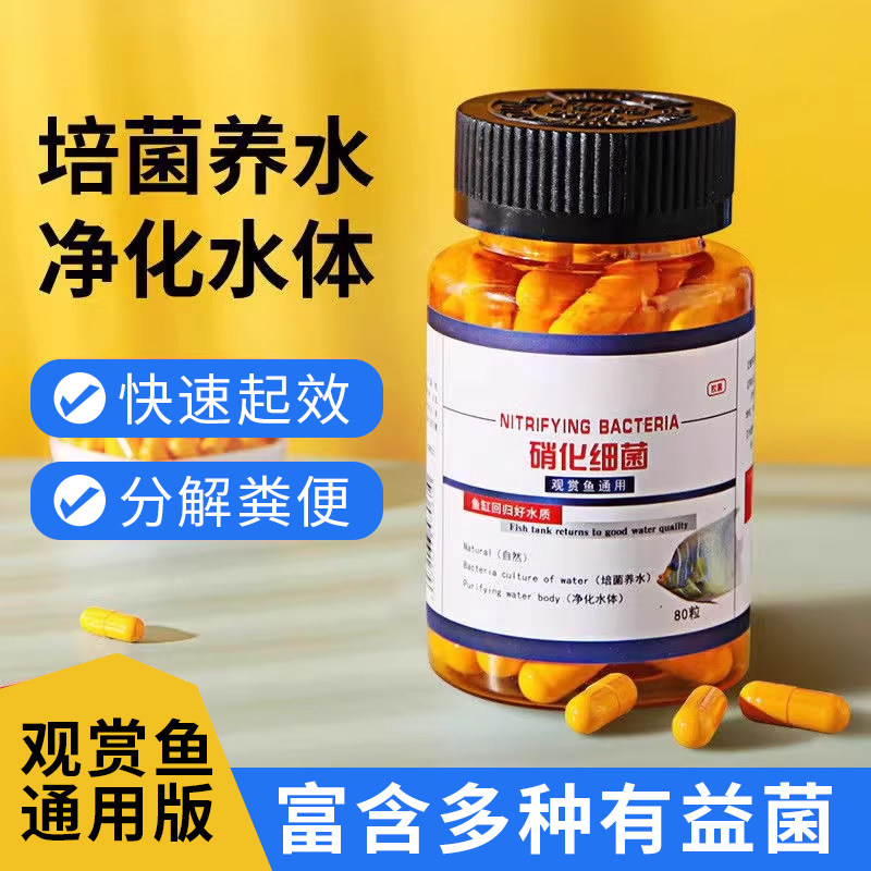 鱼缸专用硝化细菌分解粪便