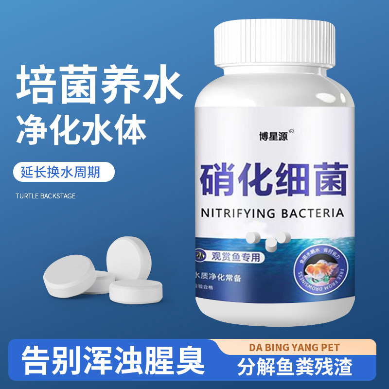 鱼缸硝化细菌片净化水质