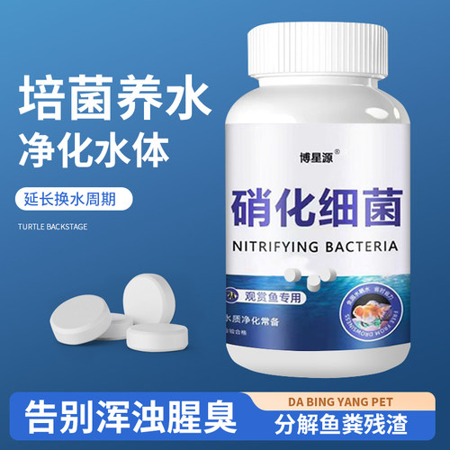 鱼缸硝化细菌片净化水质