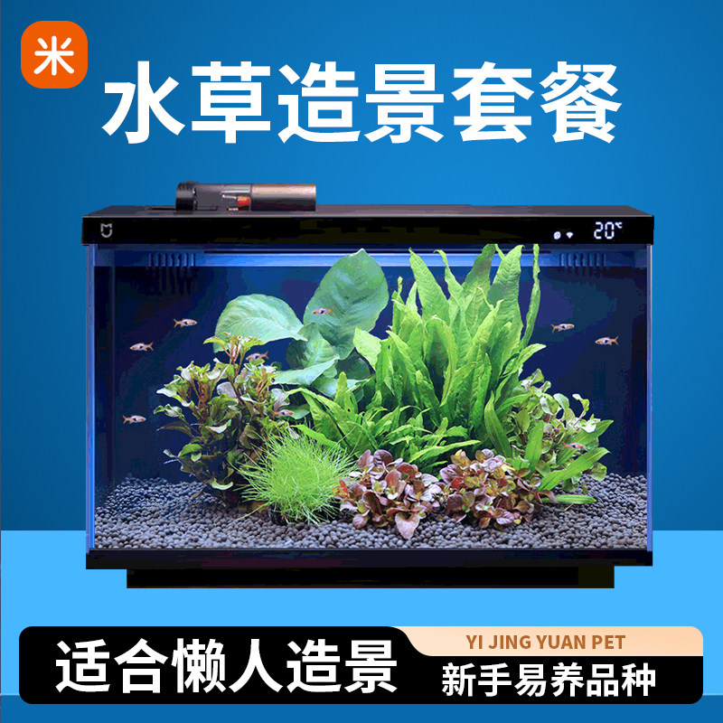 适配小米一代鱼缸青龙石装饰鱼缸小型鱼缸水草火山石套餐布景