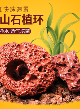 水草固定种植红色火山石水草底座定植环鱼缸造景装饰水草定植