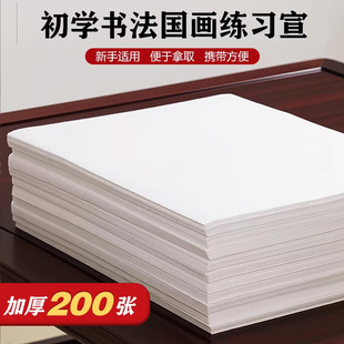 澹品斋初学者练习纸加厚宣书法专用纸半生半熟生宣熟宣国画写意毛笔书法毛笔字纸小尺寸软笔入门书法作品纸