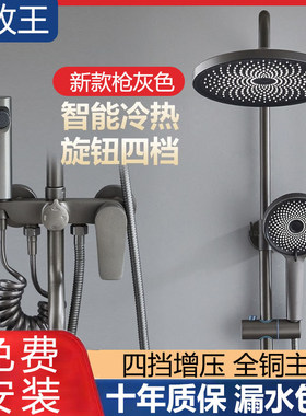 Joeone/九牧王全铜枪灰色淋浴花洒套件浴室花晒头化妆室恒温喷头