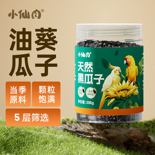 小仙肉鹦鹉油葵小瓜子鸟粮饲料牡丹和尚玄凤专用鹦鹉零食鸟粮用品