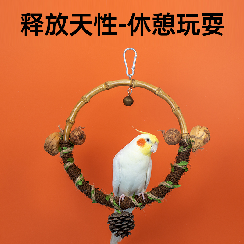 小仙肉鹦鹉玩具解压解闷耐啃咬