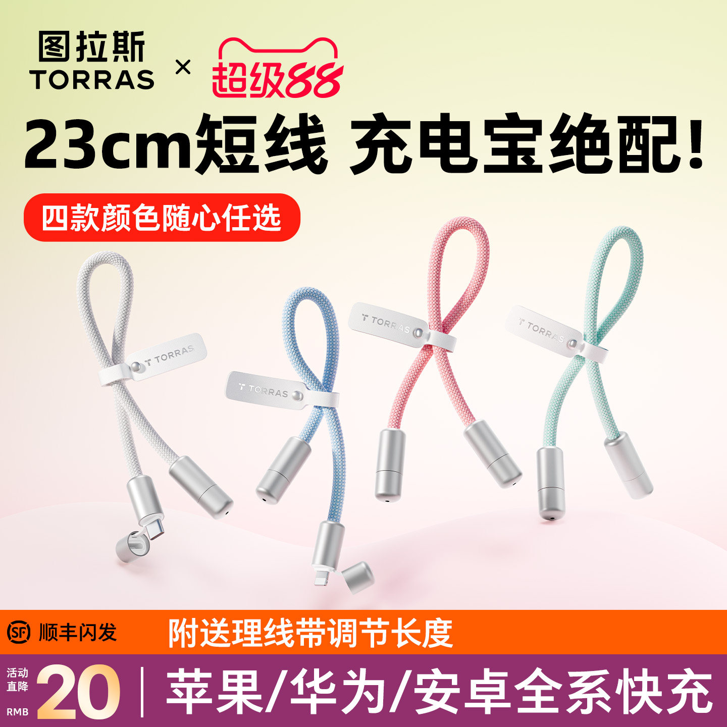 【小巧便携】图拉斯挂饰快充线图片