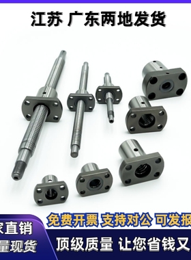 滚珠丝杆LCS02/LCS03-20-5 10 20 40-L200~L1500-F20~F36-P8~P12