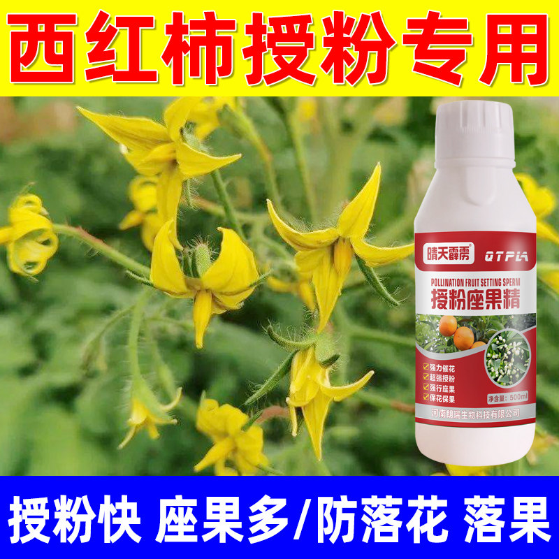 番茄授粉药坐果精膨大素西红柿催花防落果膨大剂防畸形授粉坐果精