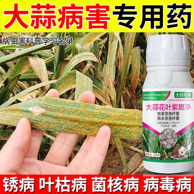 大蒜杀菌剂农用大蒜专用药干尖黄叶烂根烂叶紫斑锈病大蒜专用药