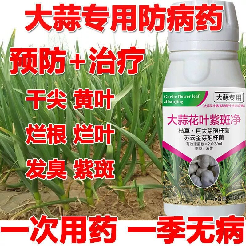 大蒜专用药  专治干尖病黄叶病烂叶病叶枯病腐烂病大蒜专用杀菌剂怎么样,好用不?