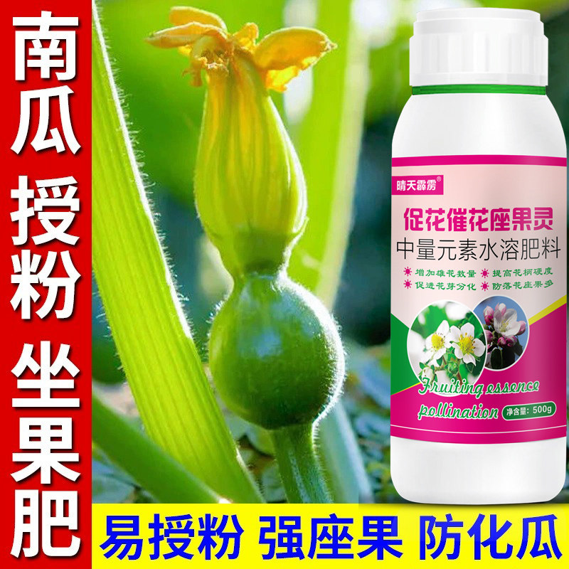 南瓜催花促花药瓜类豆类授粉坐果精果树蔬菜促花坐果灵增产叶面肥