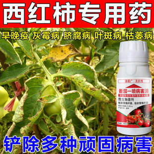 番茄专用杀菌剂番茄病害清番茄白粉病灰霉霜霉病晚疫病棉疫病杀菌