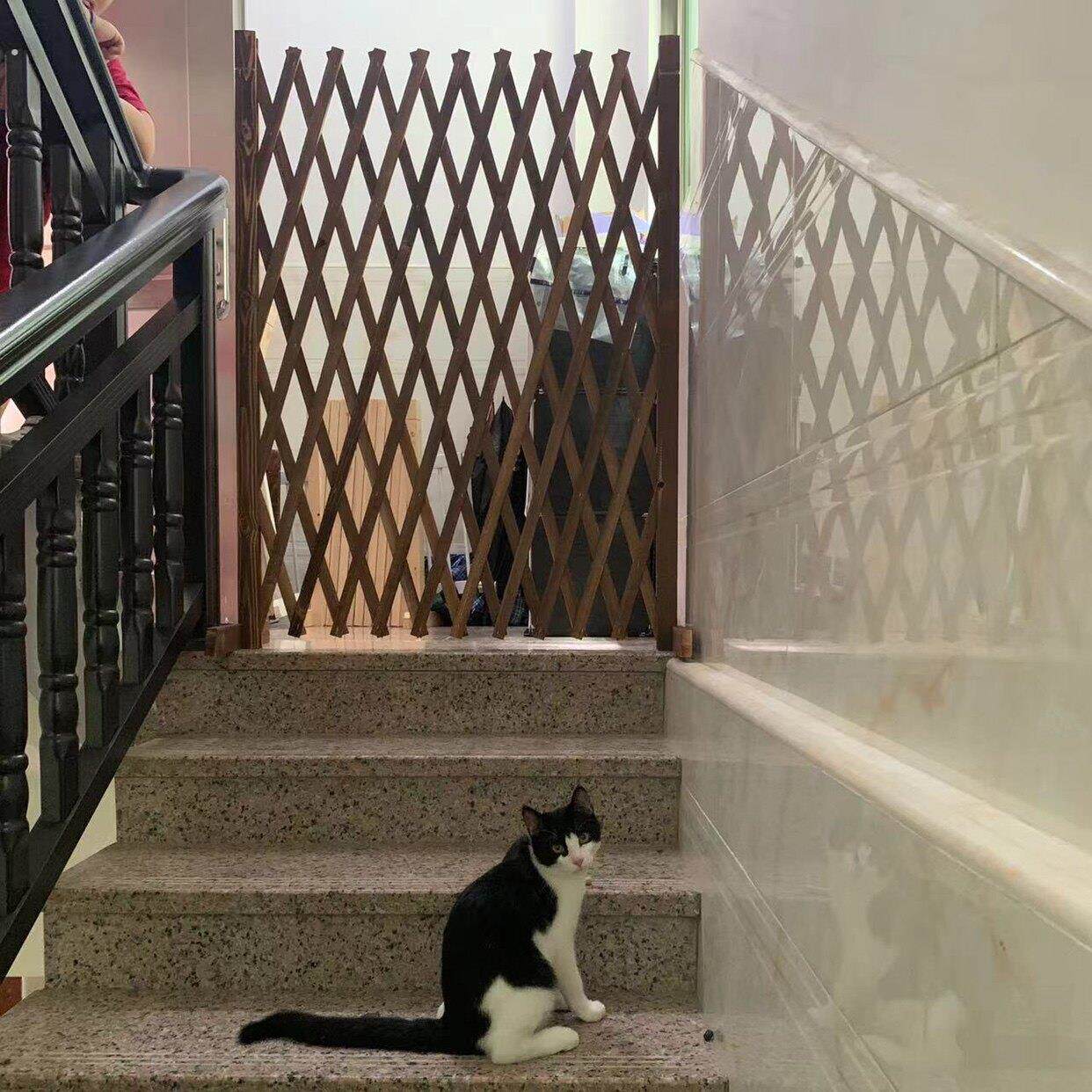 防腐木栅栏隔离门户外室内伸缩隔断拦猫拦狗兔栅栏挡板隔离网门栏