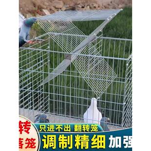 新款户外加粗鸽子养殖专用祇进不出笼鸽笼自动天落笼旋转笼翻板笼