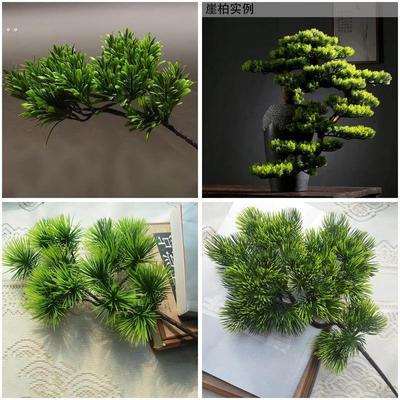 仿真松树树枝迎客松假松针松枝叶子罗汉松塑料柏树盆景装饰美人松