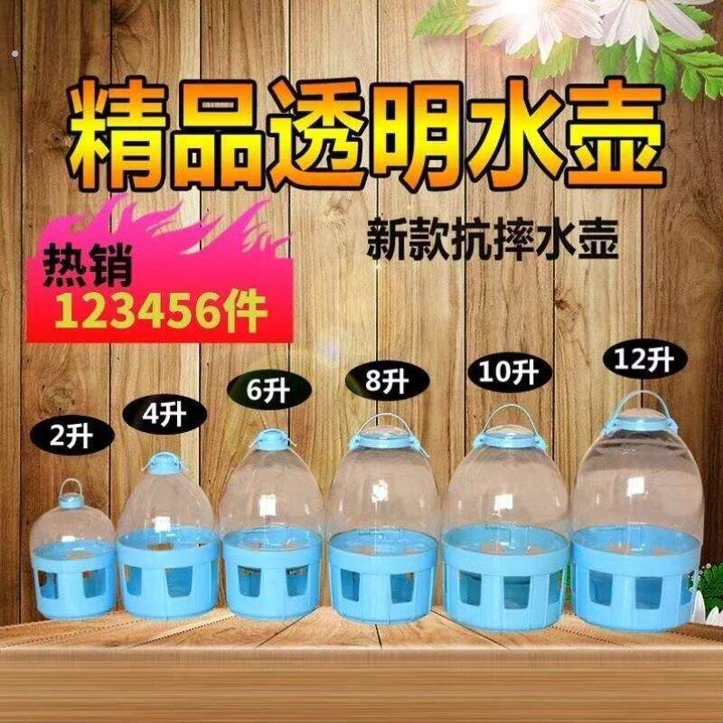 饮食自动鸽子信鸽水壶水壶器公棚水壶透明鸽具喂用品饮水器水器