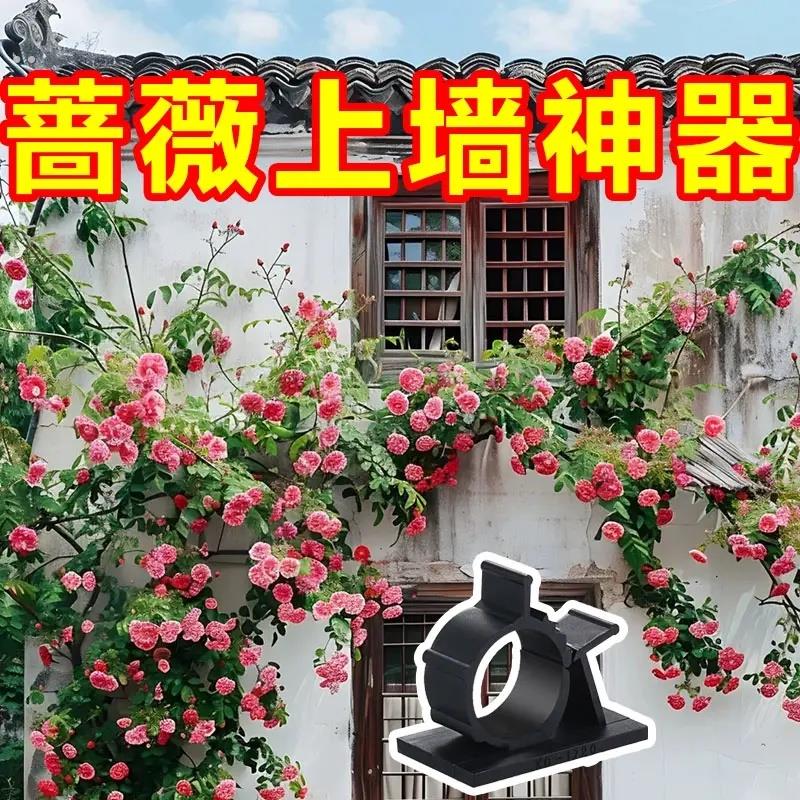 爬藤月季固定器蔷薇花墙面上墙神器园艺室内户外藤本植物牵引卡扣