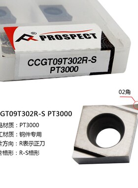 普斯特CCGT-06/09T301/02/04R/L/ER/EL-S/U PT3000 钢件专用