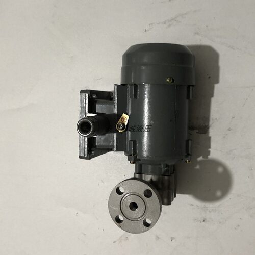 CB-1.4摆线针轮减速机油泵ZCB转子式油泵电机40W三相ZCB-1.2/0.8