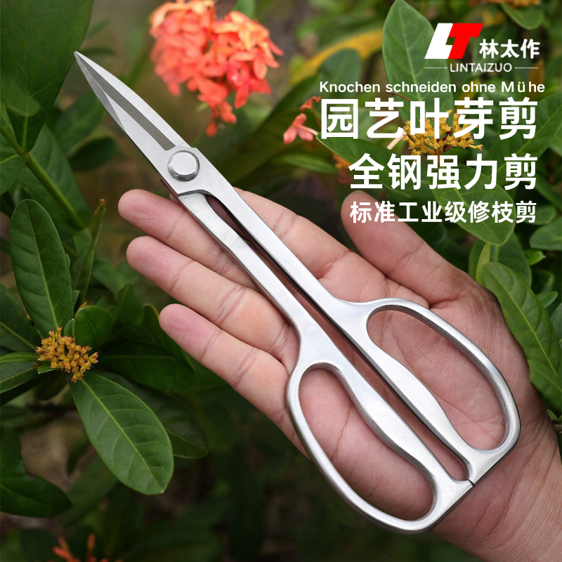 林太作全钢叶芽剪园艺剪刀插花造景盆景枝叶专用小枝修剪剪加厚