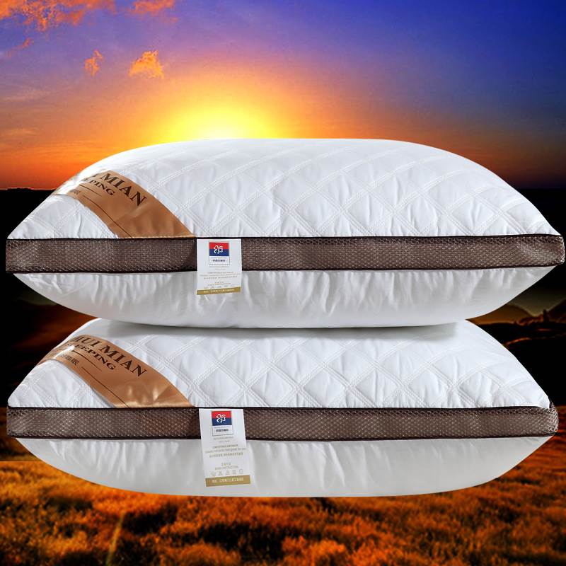 一对酒店成人家用双人清仓特价枕头套枕芯 2pcs set bed pillow