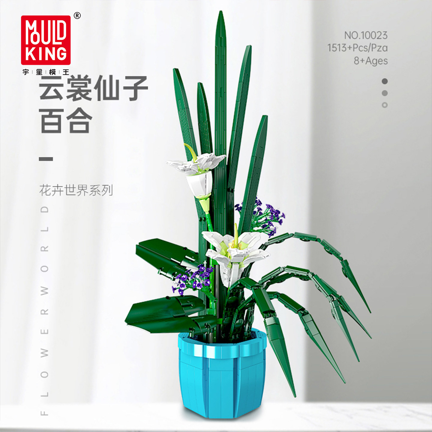 宇星模王情人节礼物百合