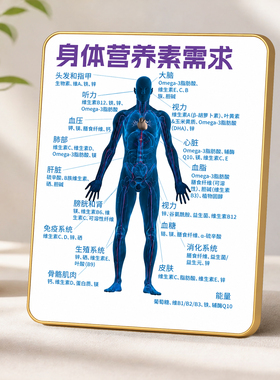 身体营养素需求科普摆台轻奢金边居家养生桌面装饰摆件
