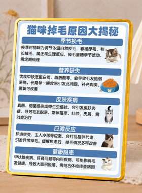 猫咪掉毛原因科普装饰摆台养猫家庭桌面摆件宠物店装饰