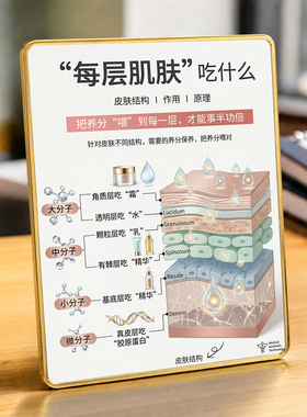 美容院每层肌肤吃什么知识展示摆件美业门店桌面装饰摆台