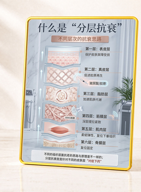 美容院分层抗衰知识展示摆件医美机构大厅科普介绍装饰摆台